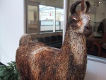 Mike the Llama